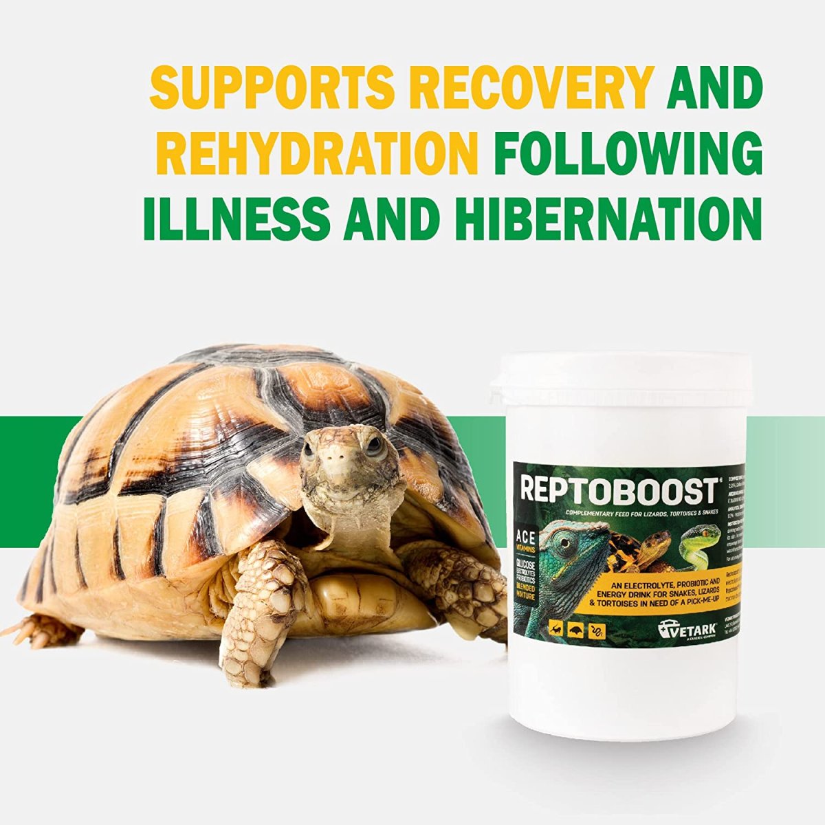 Reptoboost 100g