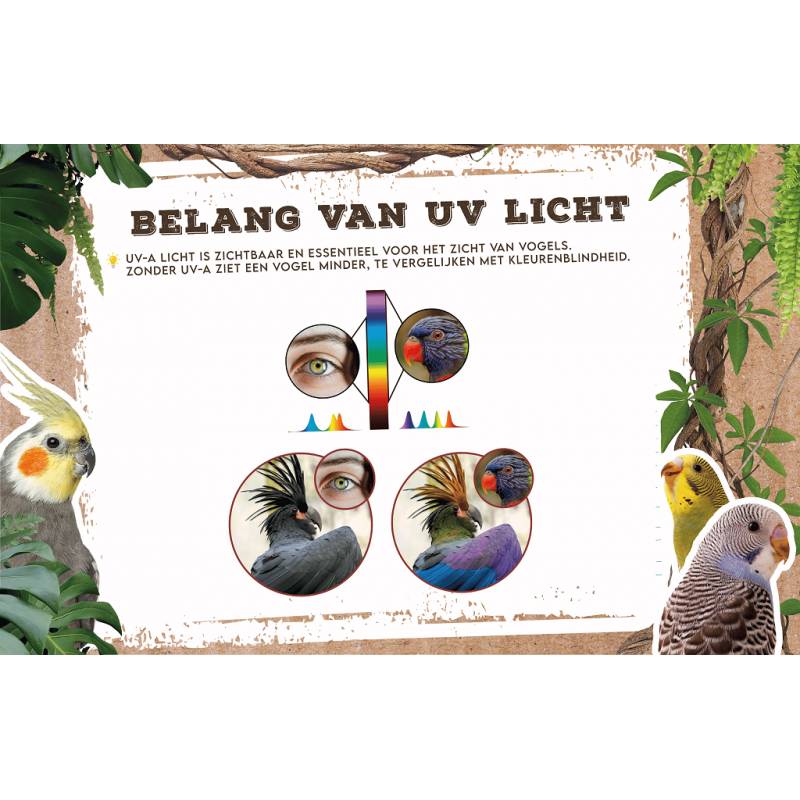 Back Zoo Nature Bird Sun UV-lamp 70W