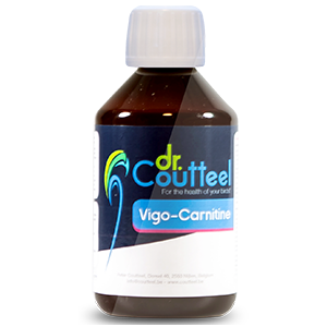 Vigo-Carnitine
