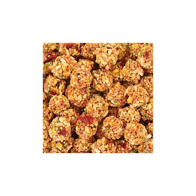 Nutri-Berries Sunny Ochard Parrot 284g