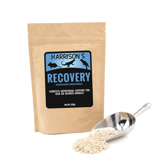Harrison's Bird Food - Recovery Formula 350g