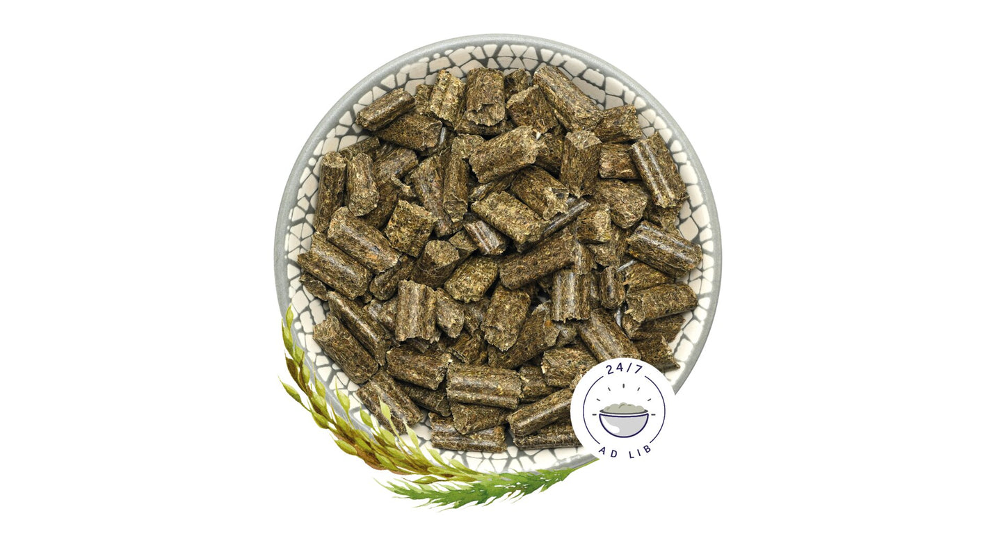 Bunny Nature Rabbitdream Basic 1,5kg