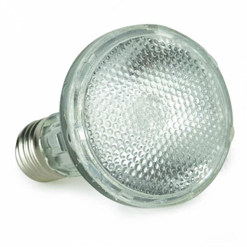Back Zoo Nature Bird Sun UV-lamp 35W