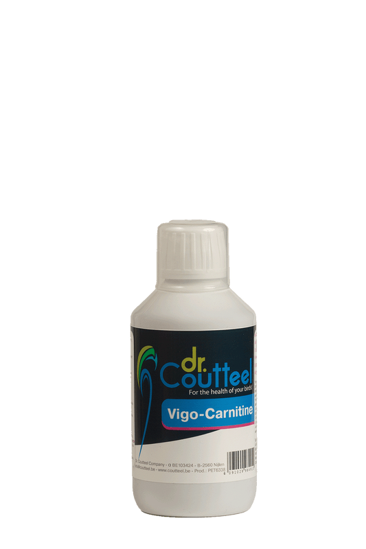 Vigo-Carnitine